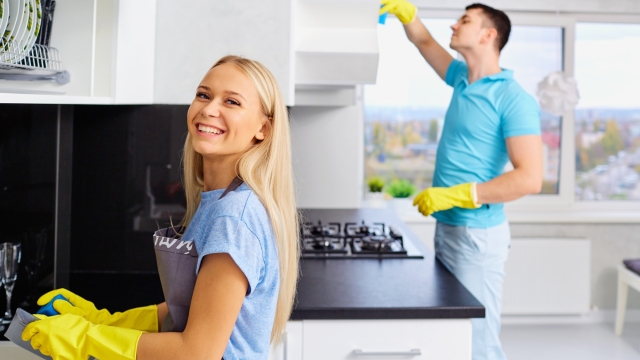 Shine and Sparkle: Mastering the Art of Domestic Cleaning