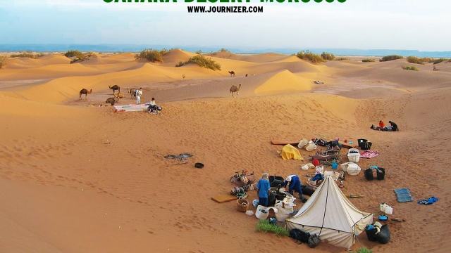 Journey through the Sands: Experiencing Morocco’s Desert Tours