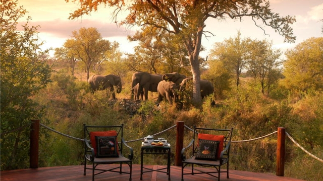 Unveiling the Ultimate Adventure: The Luxury Safari Experience