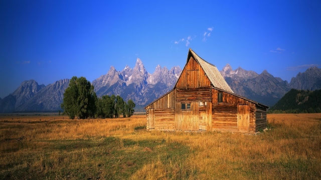 The Art of Crafting Rustic Dreams: Log Home Builders Unveil the Timeless Charm of Log Cabins