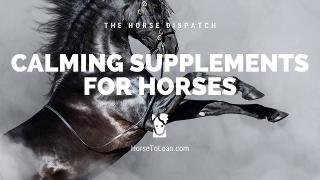 The A-Z Guide to Enhancing Equine Health: Unveiling the Power of Horse Health Supplements