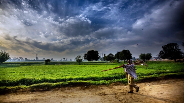 Unveiling the Charm of Coastal Farming: A Picturesque Journey Throughout