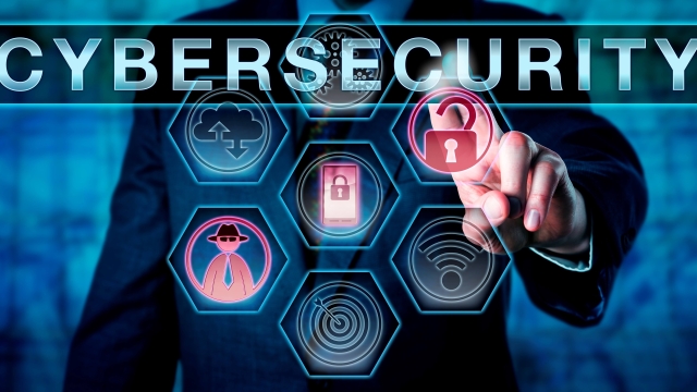 Cyber Fortress: Shielding Your Network with Advanced Security Strategies