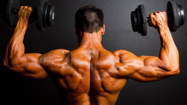 Muscle Mastery: Unleashing Your Ultimate Bodybuilding Potential