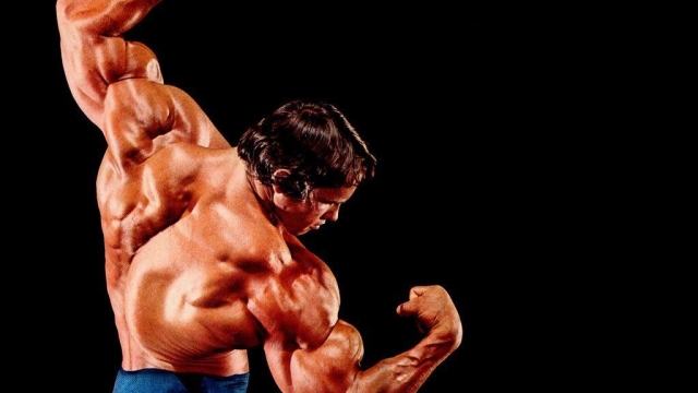 Unleashing Your Inner Beast: The Art of Bodybuilding