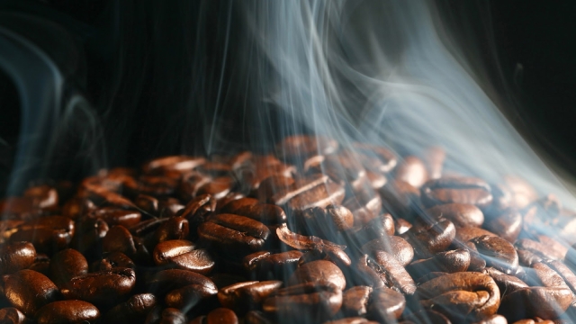 From Bean to Brew: Mastering the Art of Roasting and Grinding Coffee