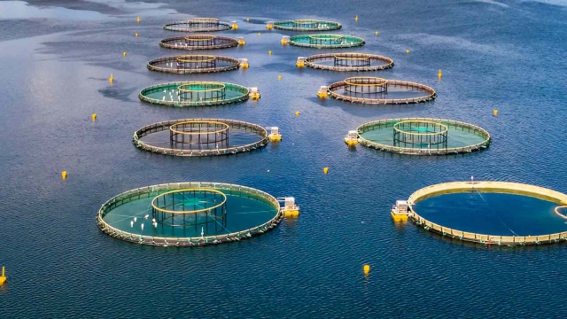 Revolutionizing the Future: How Aquaculture Technology Is Transforming Our Oceans