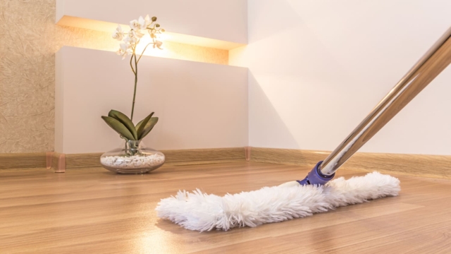 Sparkle & Shine: Transform Your Space with Professional Cleaning Services