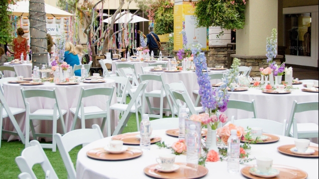 Unforgettable Celebrations: Your Ultimate Guide to Party Rentals!